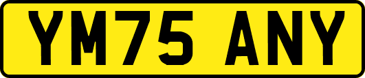 YM75ANY