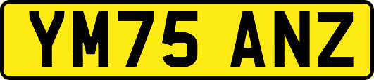 YM75ANZ