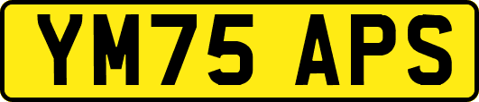 YM75APS