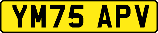 YM75APV