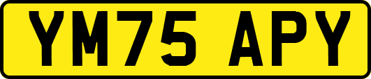 YM75APY