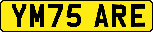 YM75ARE