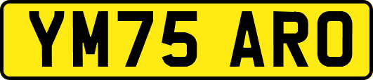 YM75ARO
