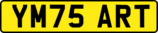 YM75ART