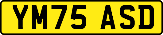 YM75ASD