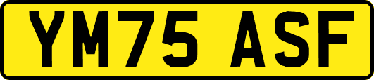 YM75ASF