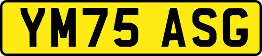 YM75ASG