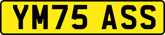 YM75ASS