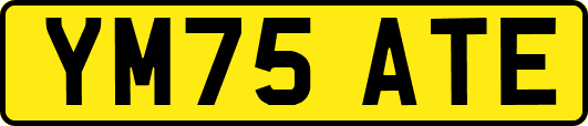 YM75ATE