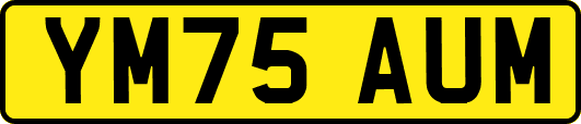 YM75AUM