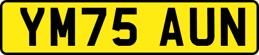 YM75AUN