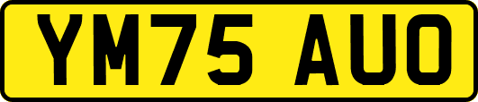 YM75AUO