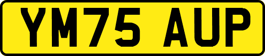 YM75AUP