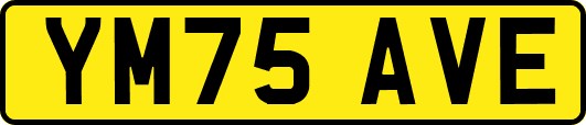 YM75AVE