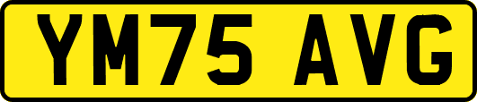 YM75AVG