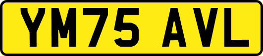 YM75AVL