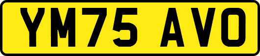 YM75AVO