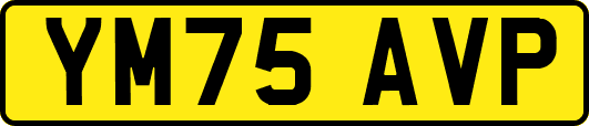 YM75AVP