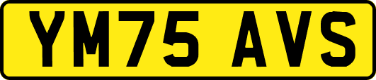 YM75AVS