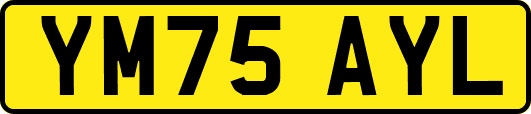 YM75AYL