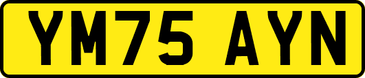 YM75AYN