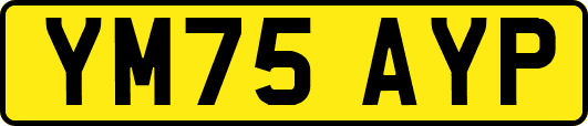 YM75AYP