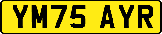 YM75AYR