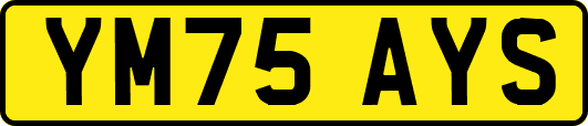 YM75AYS