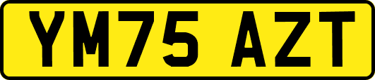 YM75AZT