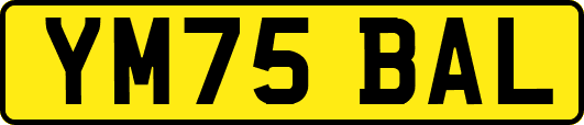 YM75BAL