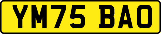 YM75BAO