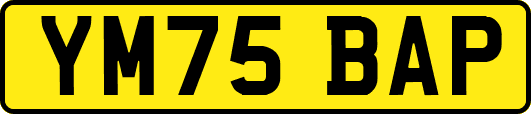 YM75BAP