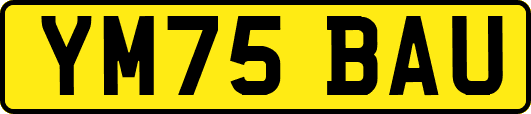 YM75BAU