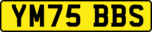 YM75BBS