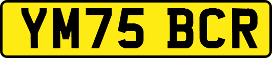 YM75BCR