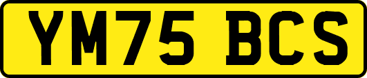 YM75BCS