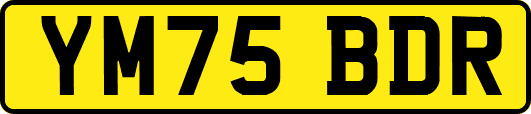 YM75BDR