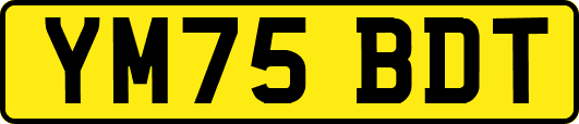 YM75BDT
