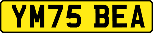 YM75BEA
