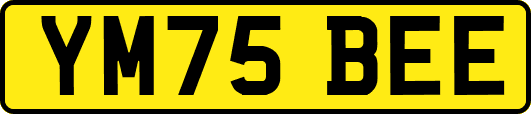 YM75BEE