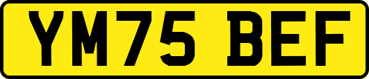YM75BEF