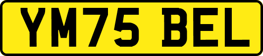 YM75BEL