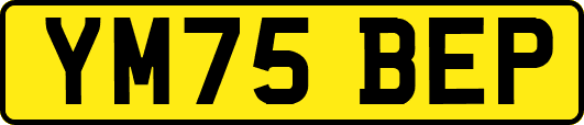 YM75BEP