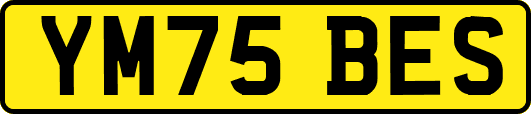 YM75BES