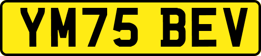 YM75BEV