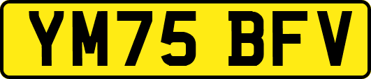 YM75BFV