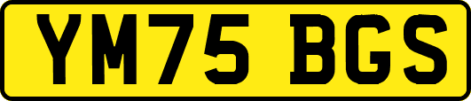 YM75BGS