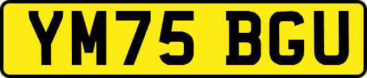 YM75BGU