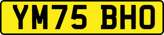 YM75BHO
