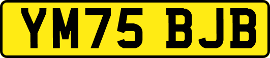 YM75BJB